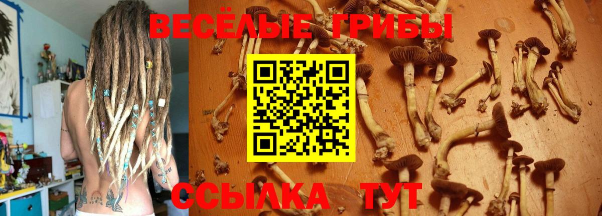 Ахтубинск  Псилоцибиновые грибы Magic Shrooms  Вход с VPN 