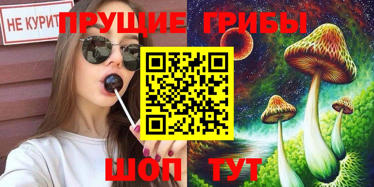Псилоцибиновые грибы Psilocybine cubensis Ахтубинск
